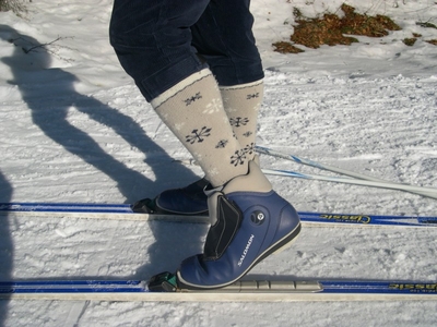 Skilangläufer auf einer verschneiten Loipe